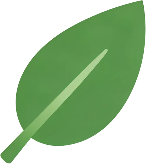 Eco-Friendly